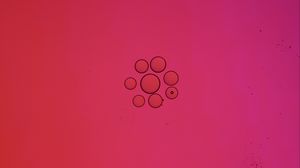 Превью обои пузыри, круги, жидкость, абстракция, розовый