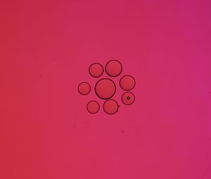Превью обои пузыри, круги, жидкость, абстракция, розовый