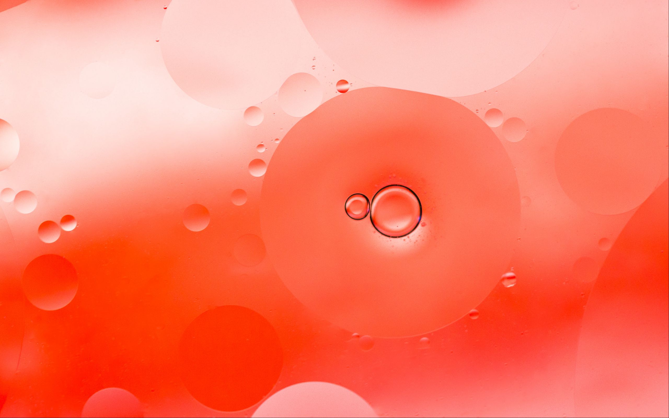 Виниловые обои пузырями. Фон пузыри. Обои пузыри. Красный фон с пузырями. Обои круги.