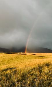 Превью обои радуга, туман, трава, поле