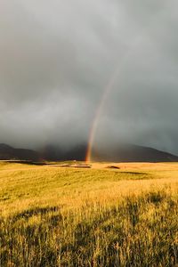 Превью обои радуга, туман, трава, поле