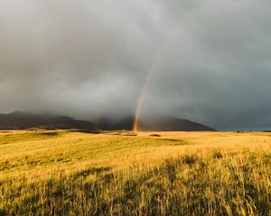 Превью обои радуга, туман, трава, поле