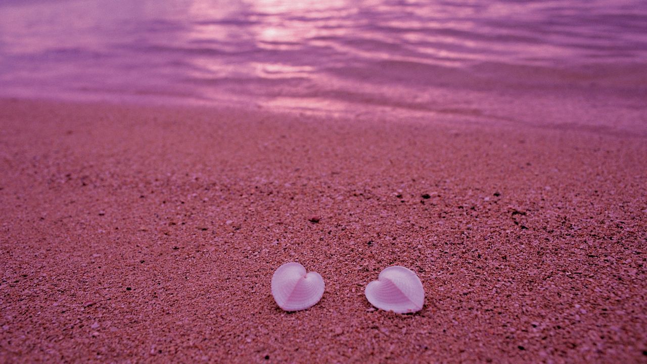 Обои ракушки, берег, сердце, песок, пляж, розовый