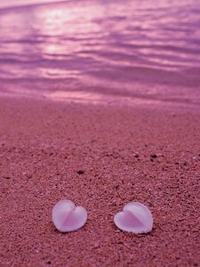 Превью обои ракушки, берег, сердце, песок, пляж, розовый