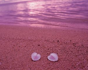 Превью обои ракушки, берег, сердце, песок, пляж, розовый
