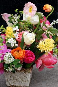 Превью обои ранункулюс, ландыши, тюльпаны, чайное дерево, пионы, букет, цветы, разнообразие