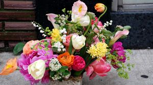 Превью обои ранункулюс, ландыши, тюльпаны, чайное дерево, пионы, букет, цветы, разнообразие