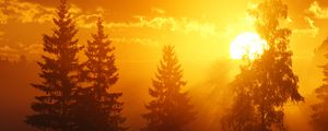 Превью обои рассвет, деревья, солнце, темный