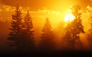 Превью обои рассвет, деревья, солнце, темный