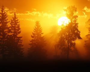 Превью обои рассвет, деревья, солнце, темный