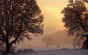 Превью обои рассвет, зима, солнце, небо, просвет, утро, деревья, снег, туман, мороз, двор