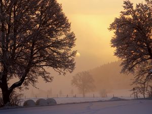Превью обои рассвет, зима, солнце, небо, просвет, утро, деревья, снег, туман, мороз, двор