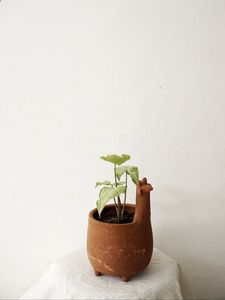 Превью обои растение, горшок, декор, минимализм