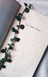 Превью обои растение, книга, надпись, слова