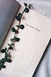 Превью обои растение, книга, надпись, слова