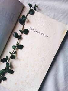 Превью обои растение, книга, надпись, слова