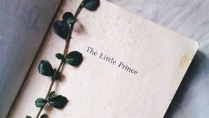 Превью обои растение, книга, надпись, слова