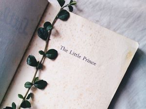 Превью обои растение, книга, надпись, слова