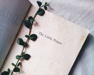 Превью обои растение, книга, надпись, слова