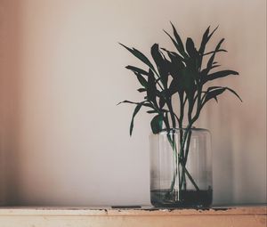 Превью обои растение, ваза, листья