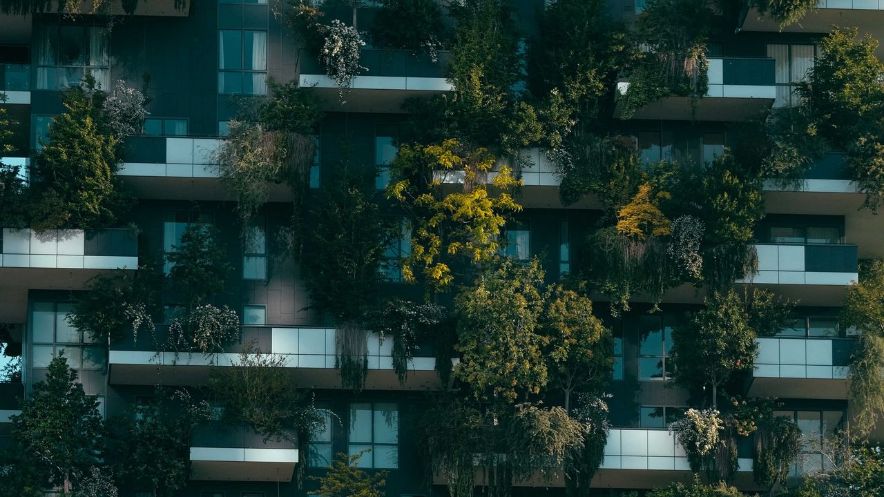 Обои растения, здание, фасад