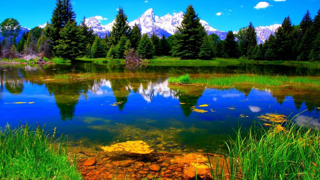 Обои растительность, озеро, зеленый, пейзаж