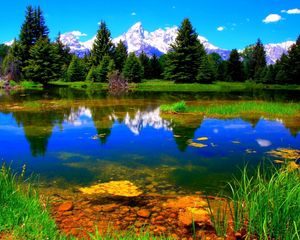 Превью обои растительность, озеро, зеленый, пейзаж