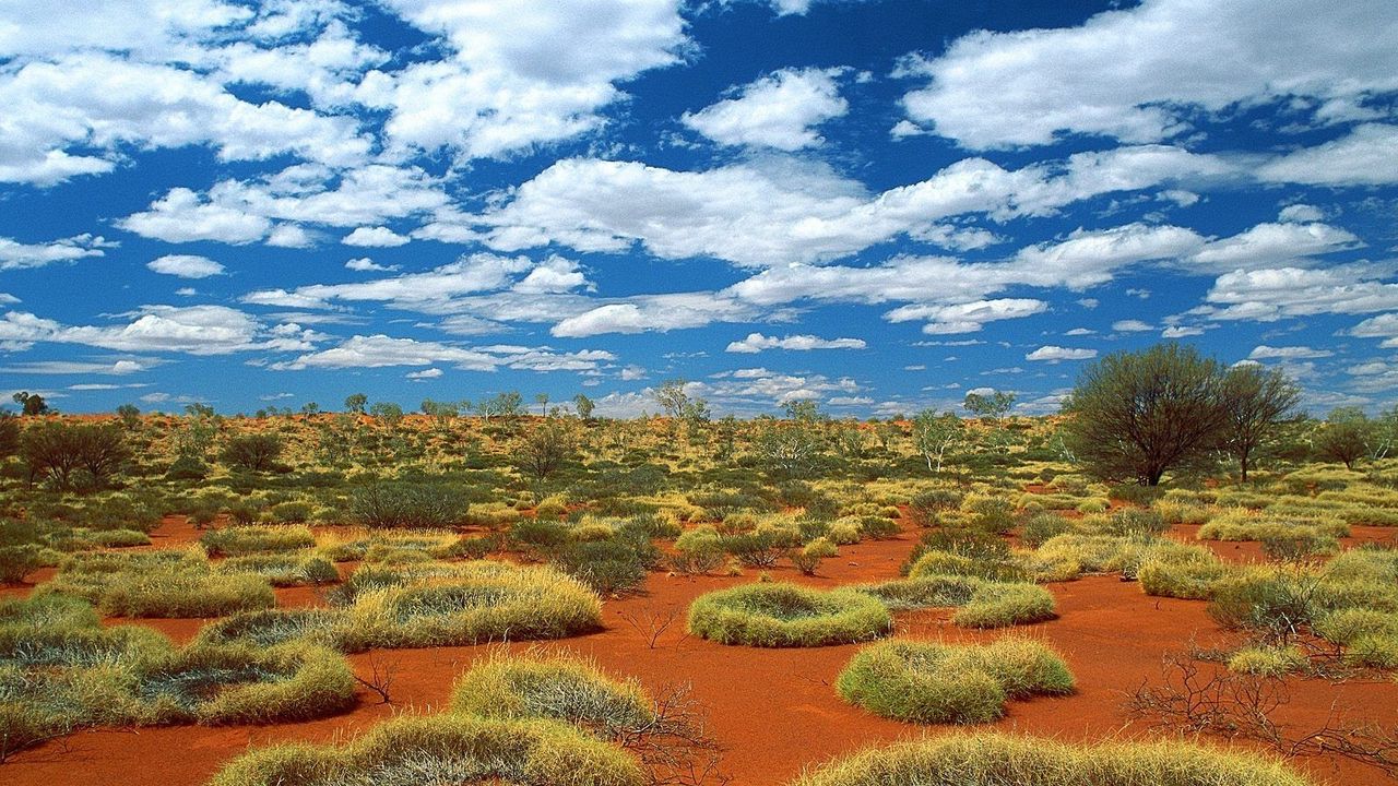 Обои растительность, песок, облака, небо, австралия