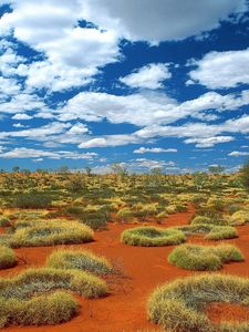 Превью обои растительность, песок, облака, небо, австралия