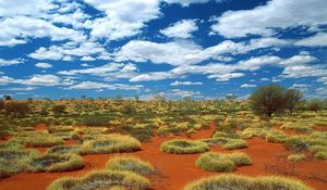 Превью обои растительность, песок, облака, небо, австралия