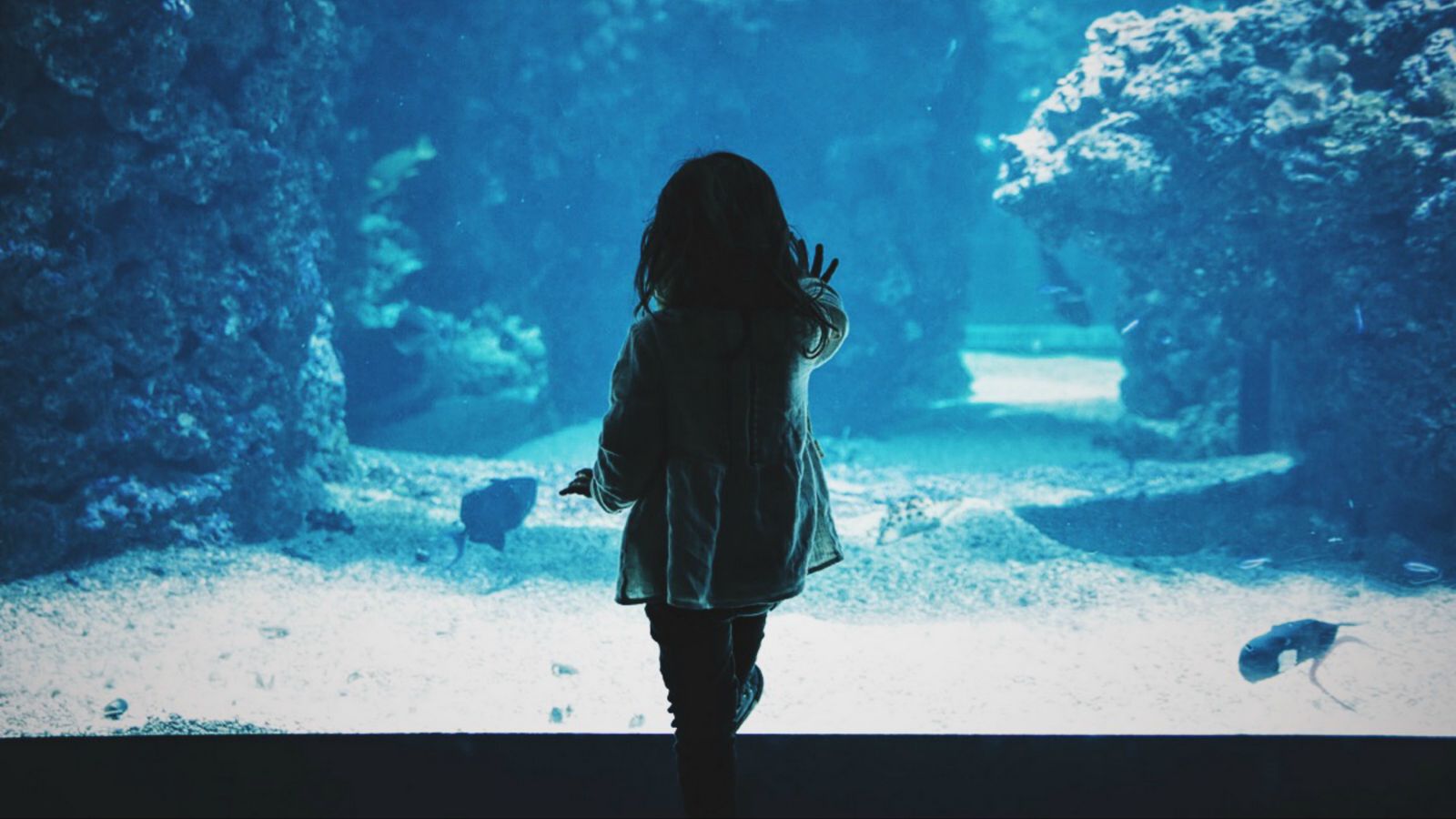 1600x900 Обои ребенок, аквариум, спина, темный, касание