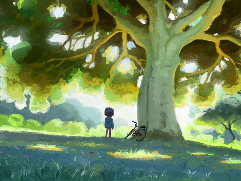 800x600 Обои ребенок, велосипед, дерево, природа, арт