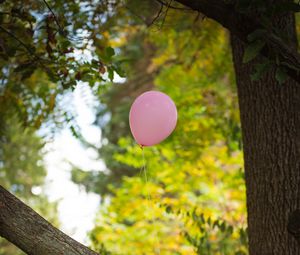 Превью обои ребенок, воздушный шар, платье, праздник, дерево