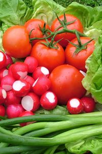 Превью обои редик, томаты, салат, лук