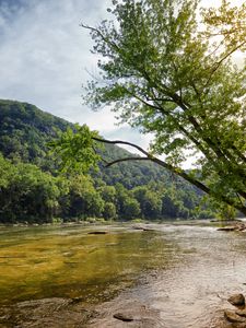 Превью обои река, берег, деревья, природа, пейзаж