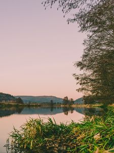 Превью обои река, берег, вода, деревья, трава