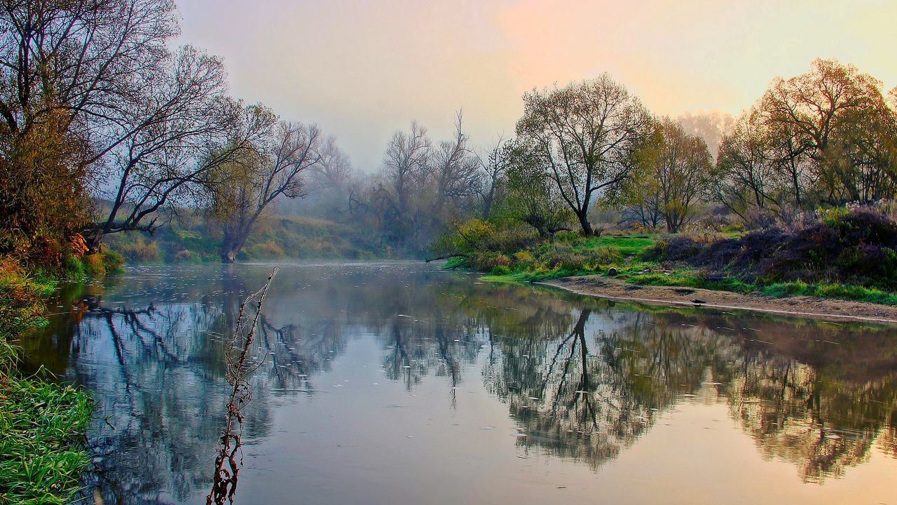 Обои река, берега, деревья, туман, утро, пейзаж, пробуждение