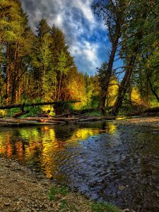 Превью обои река, деревья, бревна, лес, берег, каменистый, галька, небо, лето