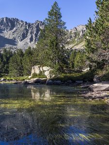 Превью обои река, деревья, горы, пейзаж, камни