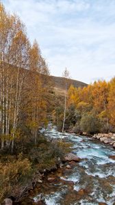 Превью обои река, деревья, холм, природа, пейзаж