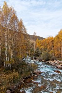 Превью обои река, деревья, холм, природа, пейзаж