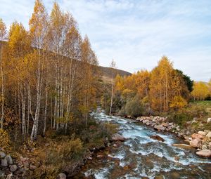 Превью обои река, деревья, холм, природа, пейзаж