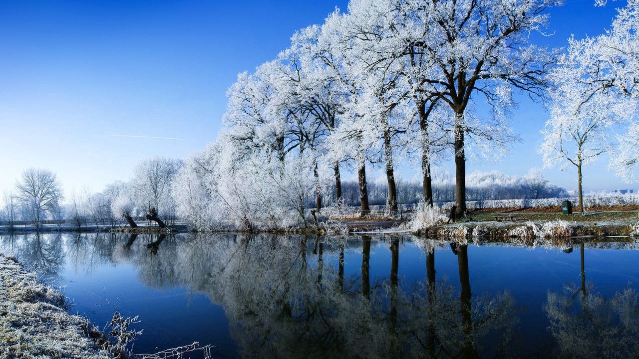 Обои река, деревья, иней, зима, отражение