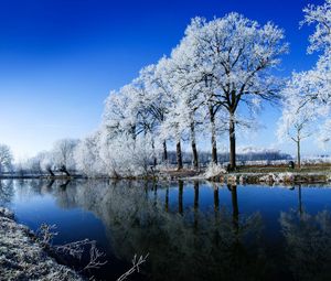 Превью обои река, деревья, иней, зима, отражение