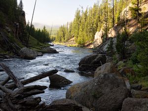 Превью обои река, деревья, камни, бревна, природа