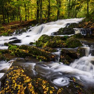 Превью обои река, деревья, камни, вода, осень, природа