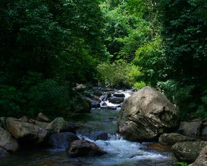 Превью обои река, деревья, камни, пейзаж, природа