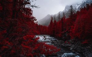 Превью обои река, деревья, красный, горы, туман, пейзаж