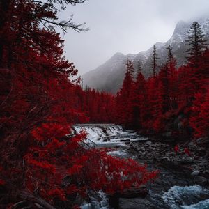 Превью обои река, деревья, красный, горы, туман, пейзаж