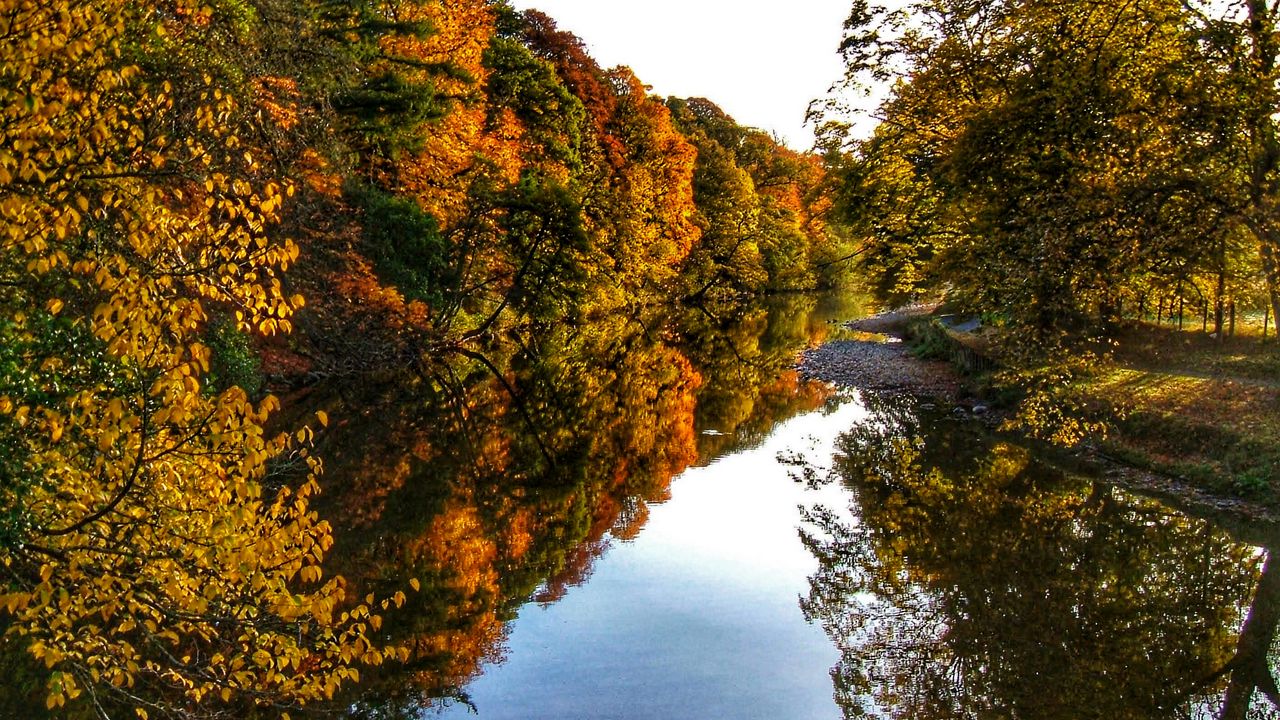 Обои река, деревья, лес, отражение, осень, пейзаж, природа